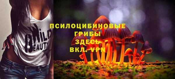 a pvp Абинск