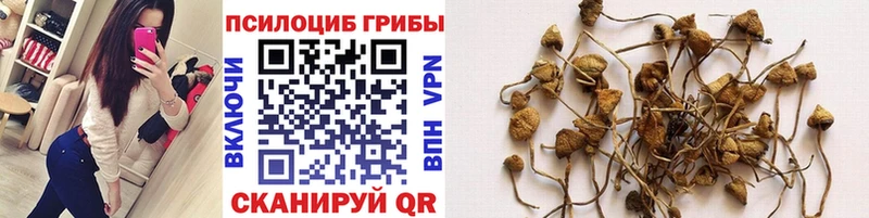 цены наркотик Нестеровская Галлюциногенные грибы мицелий